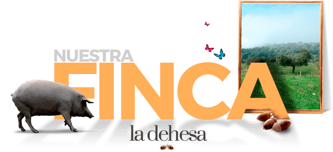 Nuestra Finca